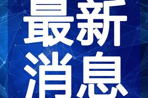 喜茶最新爆料新闻视频,独家爆料视频曝光最新饮品与门店设计  第3张